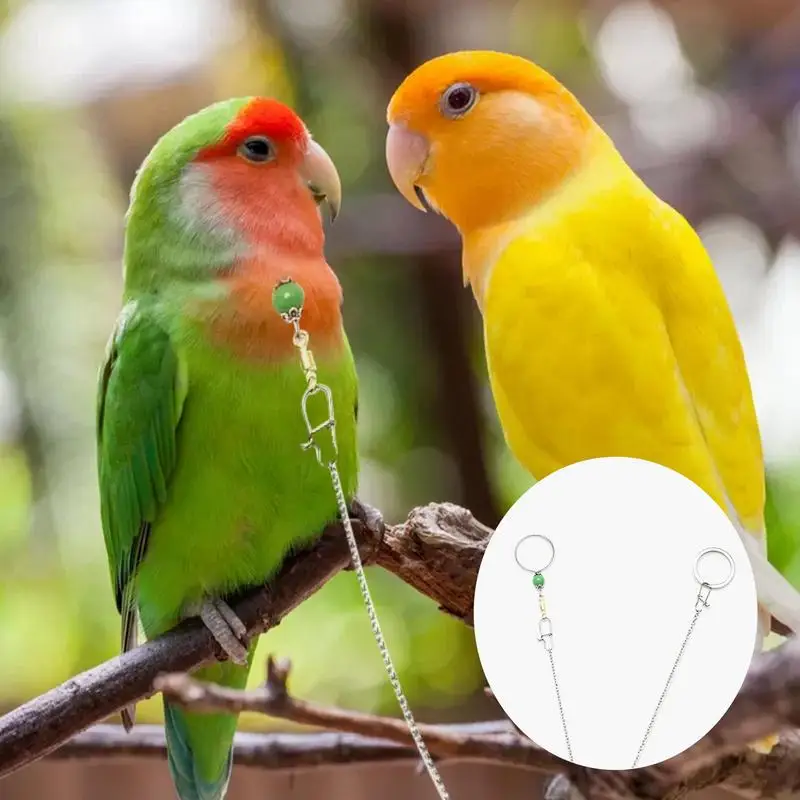 Parrot Neck Chain Stainless Parrot Training Neck Chain Safety Buckle Neck Collar Chain Prevent Parrot From Getting Lost
