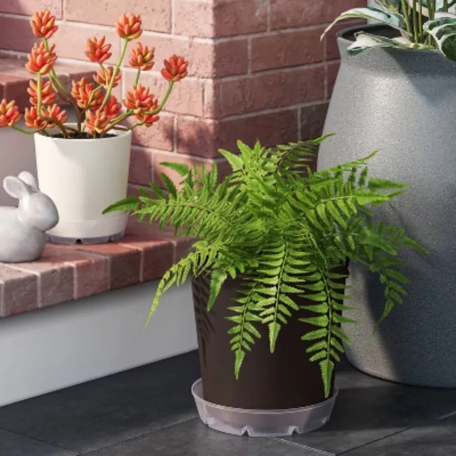 Plastic Planter Saucer Clear - Round design, weatherproof, suitable for both indoor and outdoor use.