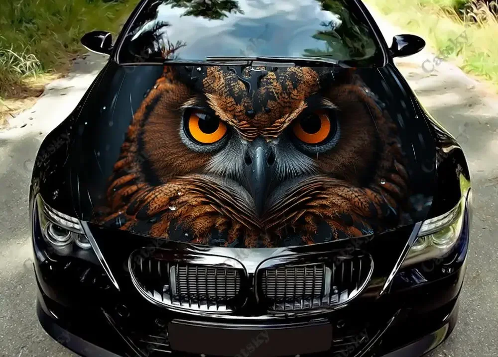 Owl With Orange Eyes Car Hood Decal Truck Decals Vinyl Sticker Graphic Wrap Stickers Trucks Cars Bonnet Vinyls