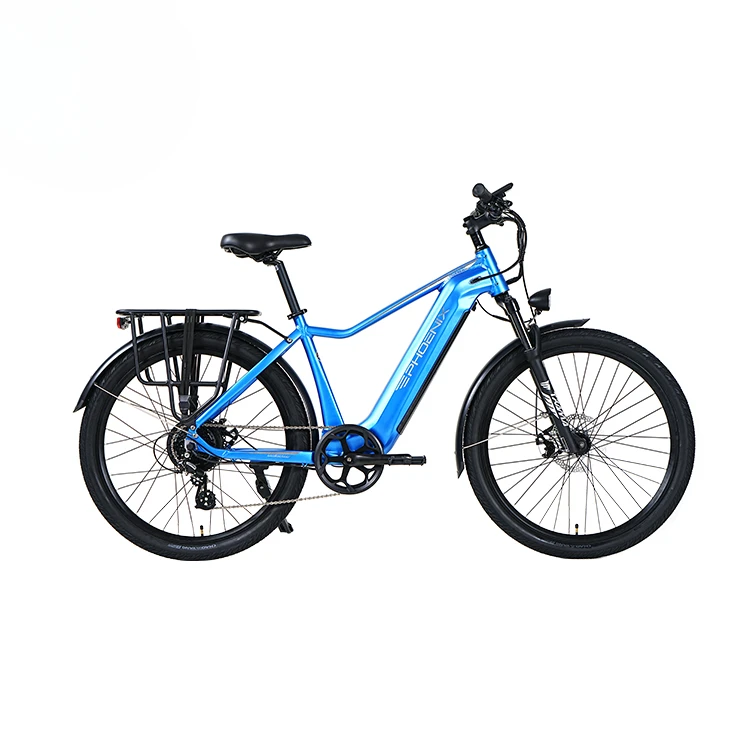 Phoenix Factory Directly Supplies Electric City Bicycles And Mountain Electric Bicyclescustom