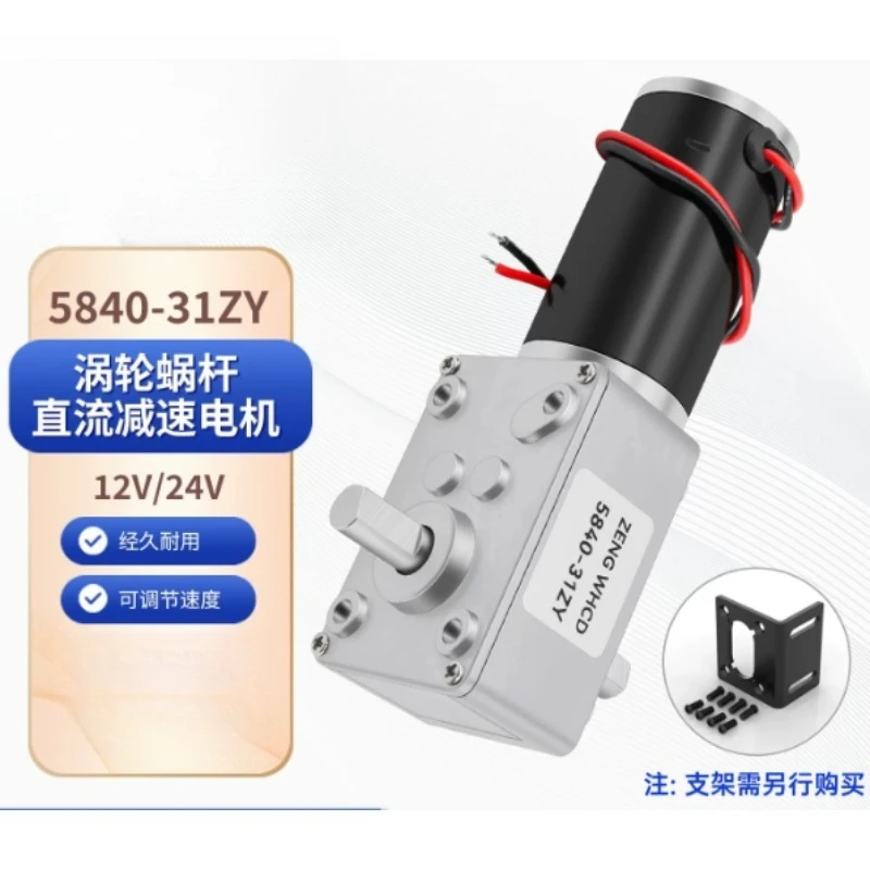 5840-31ZY Double Output Shaft Turbine Worm Reduction 12V DC Motor 24V All-metal Gear