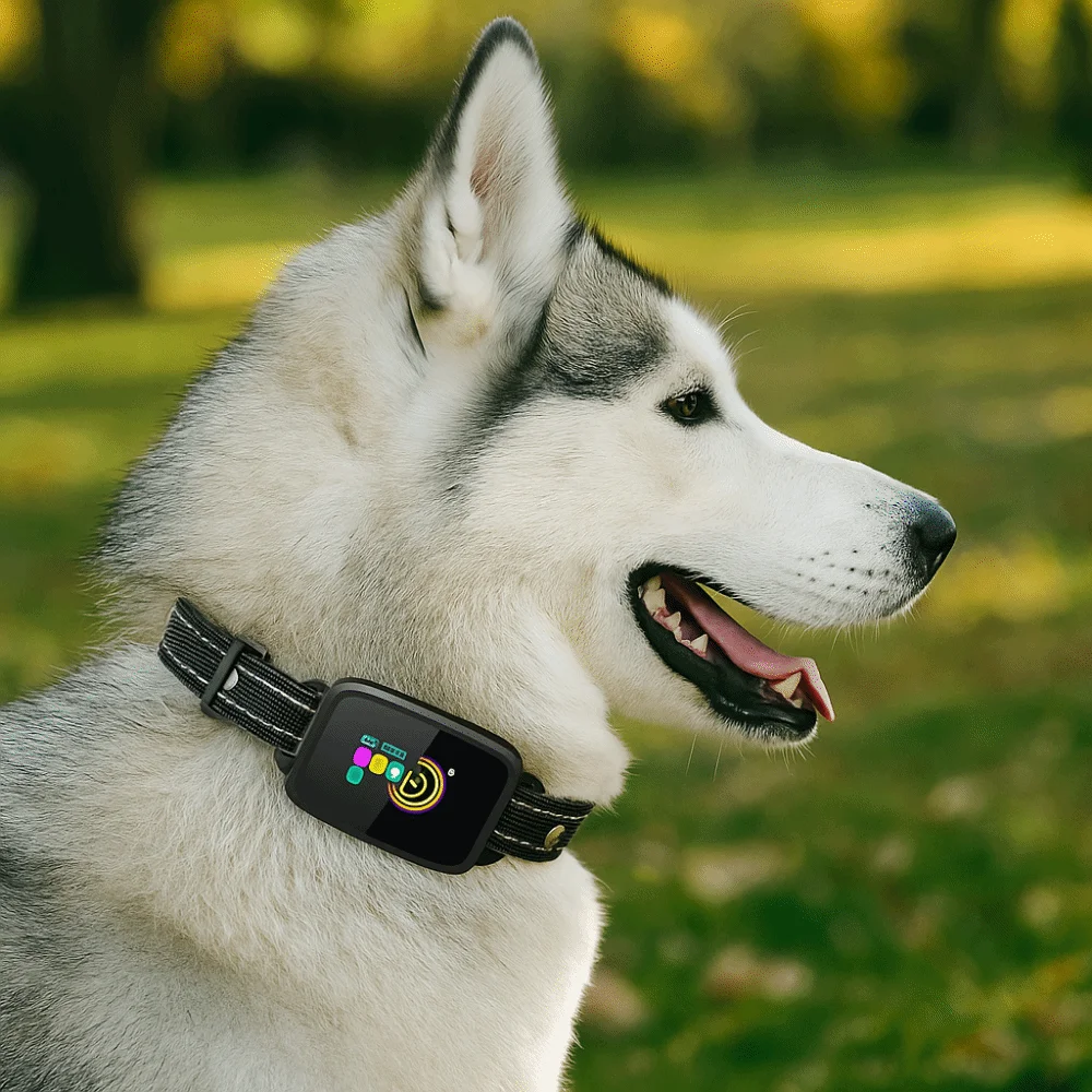 

Intelligent Dog Barking Collar Type-C Rechargeable Color Screen Anti Bark Dog Collar Waterproof Adjustable Working Modes