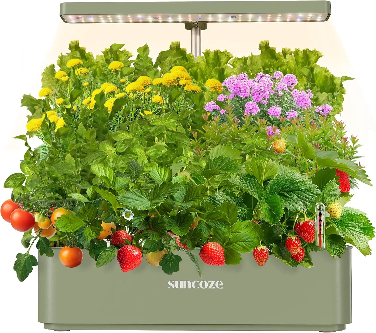 

Hydroponics Growing System Kit with 12 Pods, 24W LED Light, Quiet Pump, Adjustable Height for Indoor Herb Garden