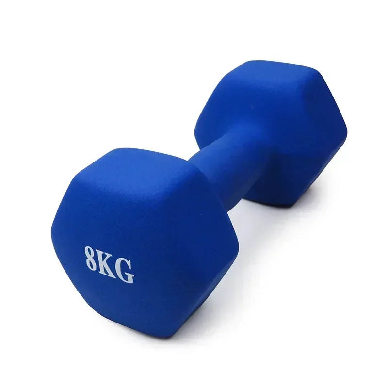 Household Dumbbells Fitness Cast Iron Arm Muscle Training Gym Equipment Coated Hexagon Workout Dumbbell Hand Weight