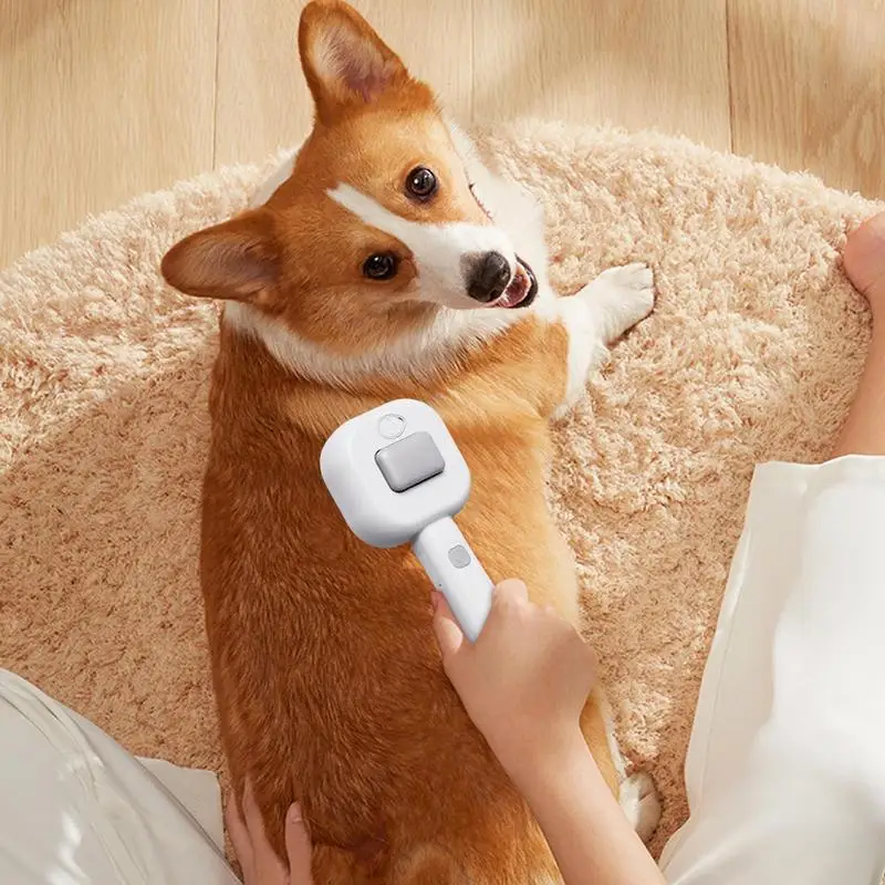 

Расческа для удаления волос с распылителем, многофункциональная самоочищающаяся распылительная щетка, 300 мАч, многоразовая массажная расческа, инструмент для чистки дома, путешествий