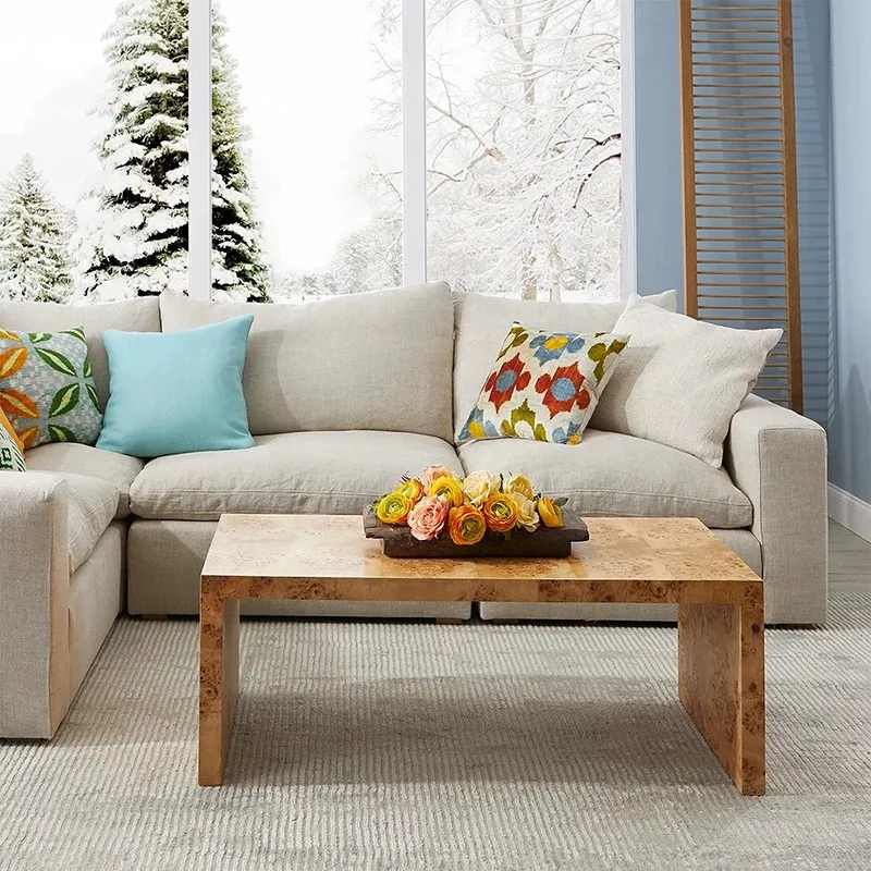 Art Coffee Table Nordic Vintage Rectangular Shaped Tea Table Mid Century Wabi Sabi Tropical Style Living Room Sofa Center Table