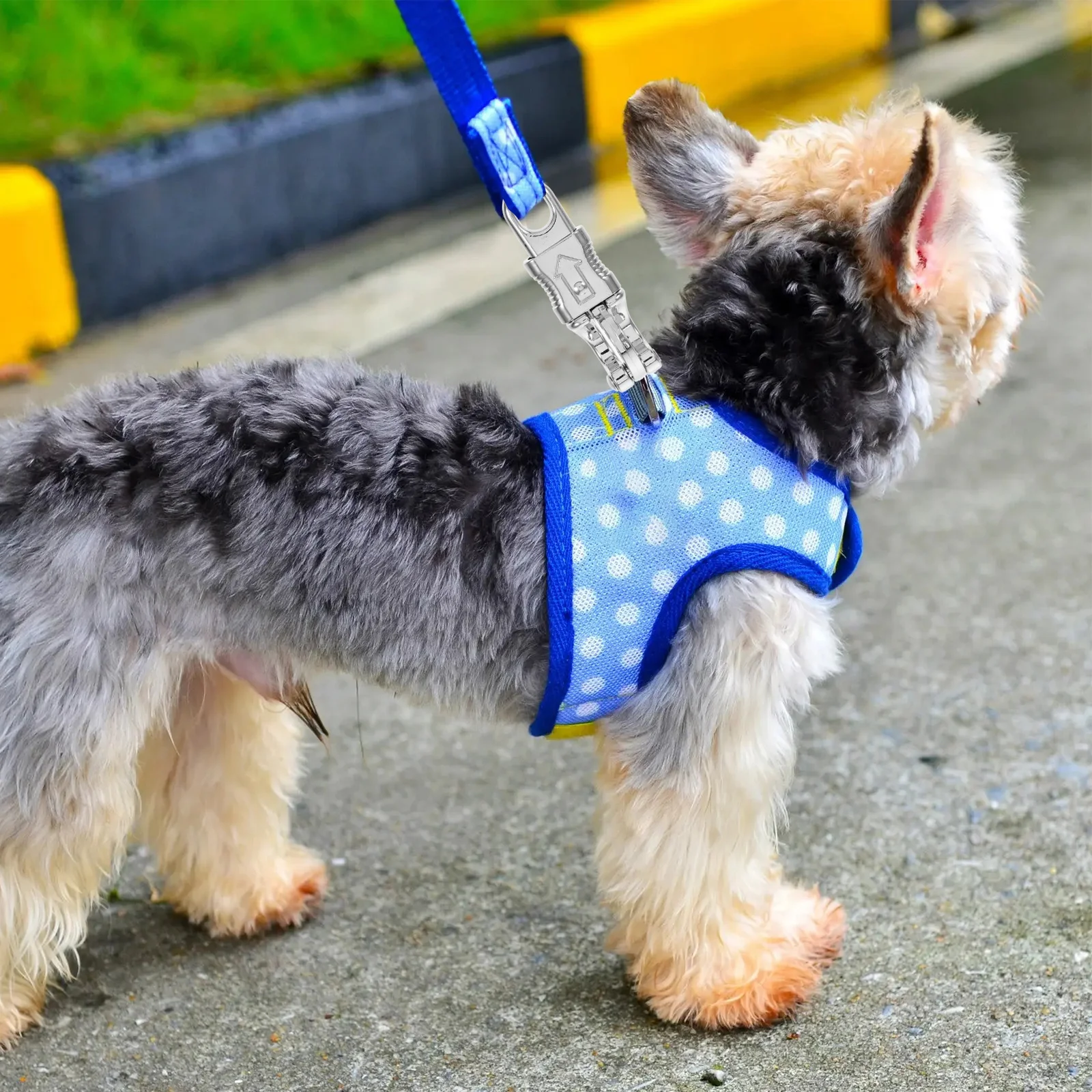 

2Pcs Strong Traction Hardware Snap Hooks for Dog Leash Zinc Alloy Quick Release Clasps for Collar Backpack Outdoor Pet Walking