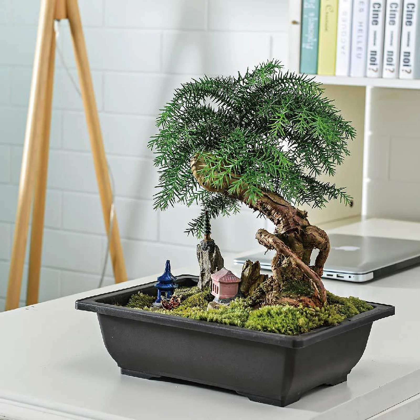 

Plastic Flower Pot Lightweight Elegant Planter for Indoor Outdoor Gardening with Tray Succulent Flowerpot Plastic Flower Pot