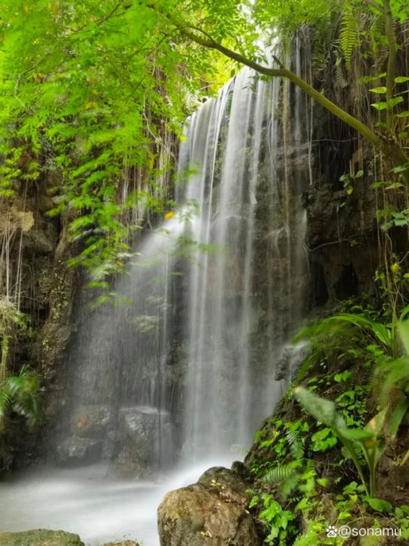 

For Tesla Model S paint pen Supplies Modification Accessories Car paint scratch repair car scratch remover Paint repair set