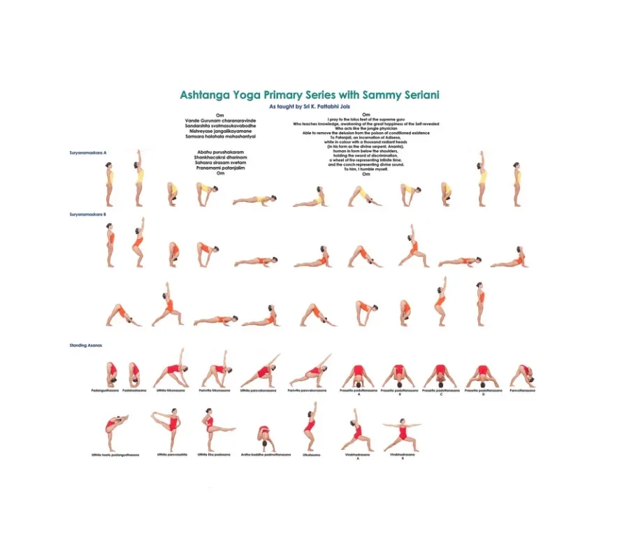 Yoga Ashtanga Primary Series, Art Picture Print Silk Poster,Home Wall Decor