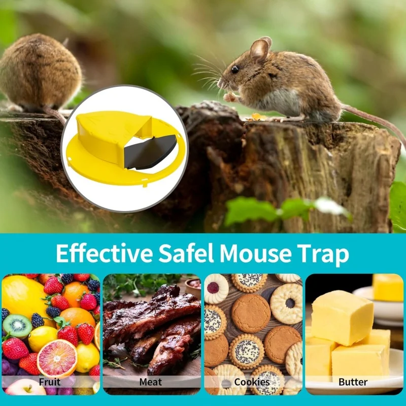 Thumbnail 3 - #11 Pest Control Ranking List in 2026
