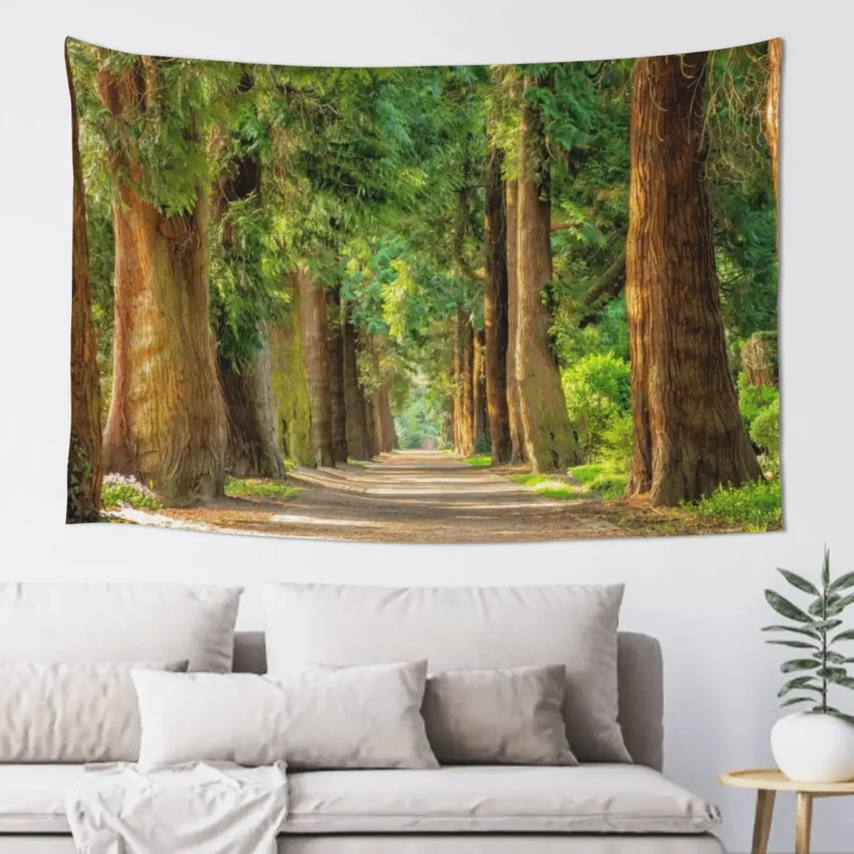 Back country road avenue of redwood trees nature forest color landscape photography Tapestry Tapete For The Wall Tapestry