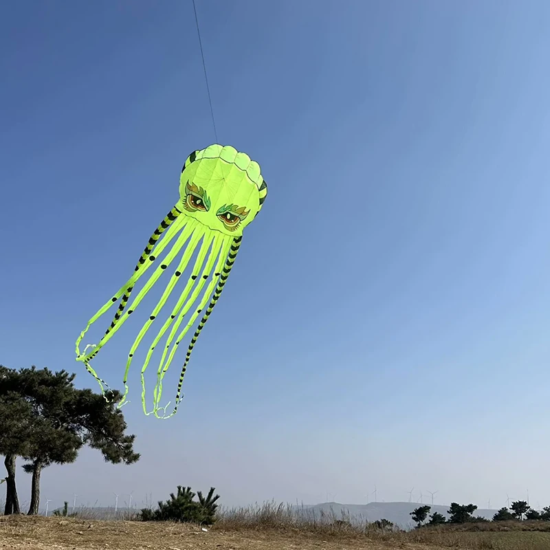 9KM 8m oude octopus vliegerlijn wasgoed opblaasbare showvlieger voor vliegerfestival beste ripstop nylon met tas (accepteer groothandel)