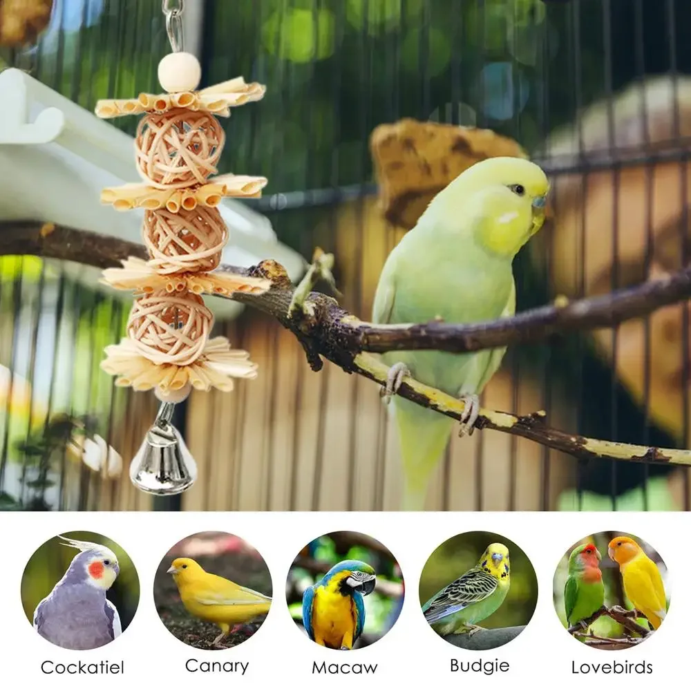 Bird Shredding Toys Chew Toys For Small Parrots Shredding Toys With Metal Hook Colorful Budgie Eaves Decoration Various Birds