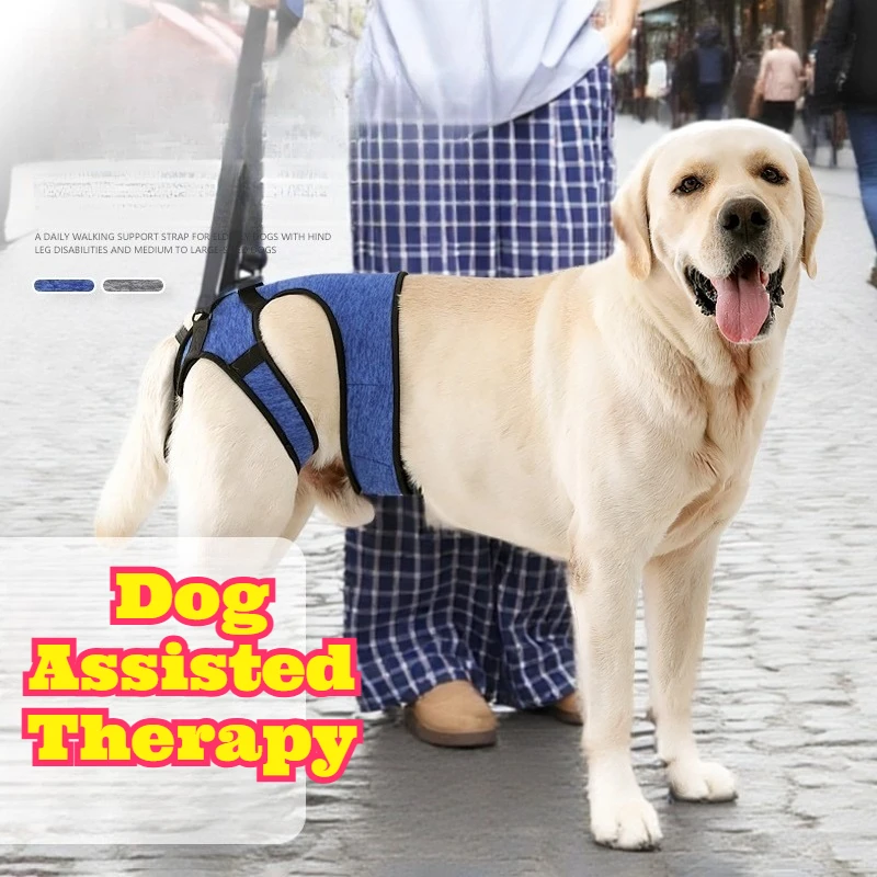 

Upgraded Dog Support Sling Waist Design Anti Shedding Walking Harness Injured Dogs Stable Traction Aid Adjustable Pet Walking