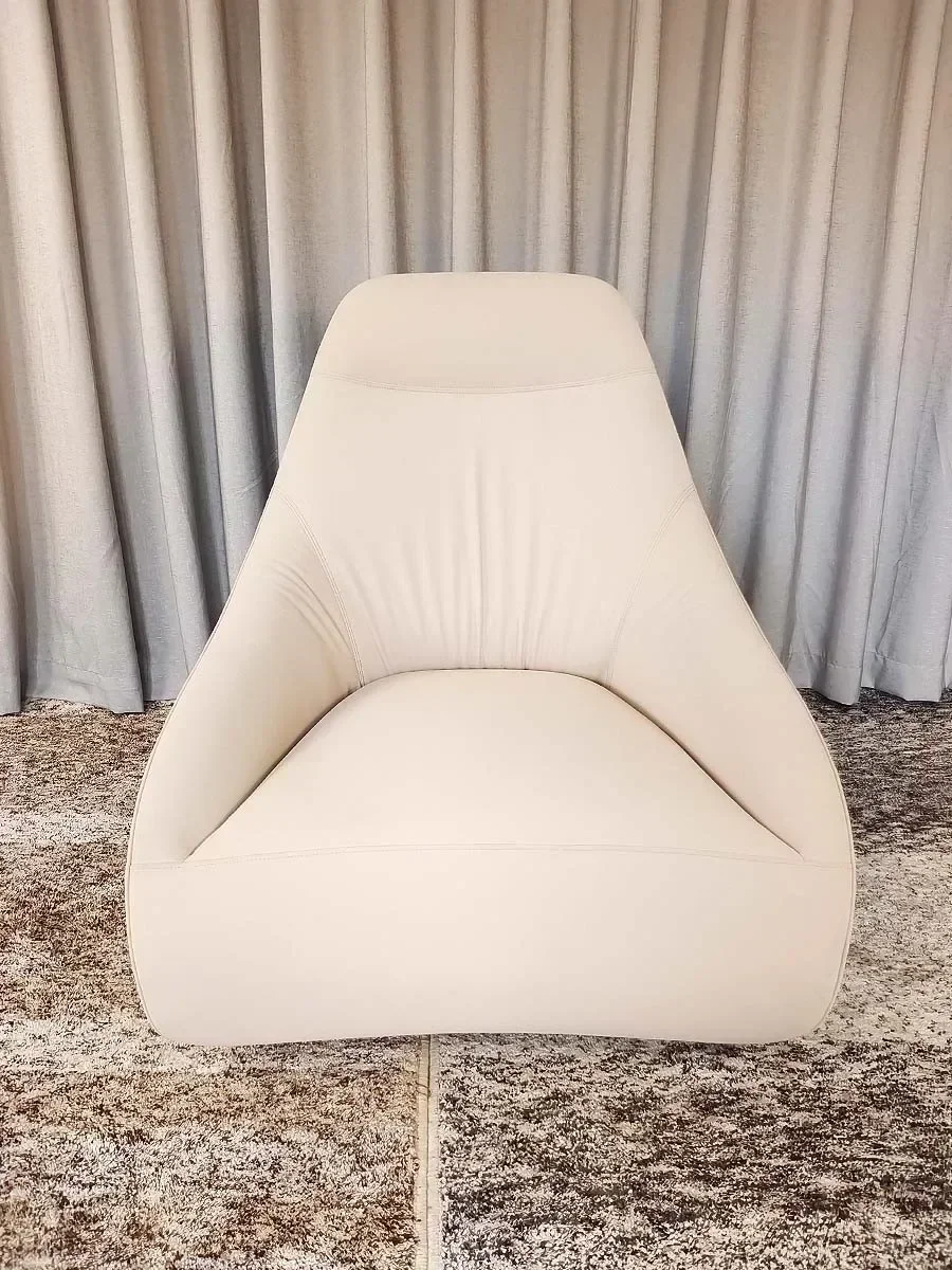 

Nordic Light Luxury Modern Simple Stainless Steel Paint Rotating Leisure Chair Chair Lounge Chair Sofa