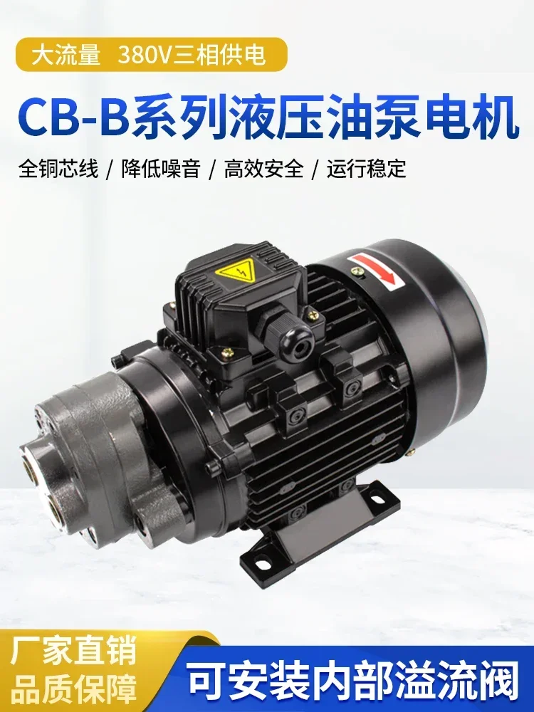 Hydraulic gear pump for CB-B6/B4/B10/B2.5/B16/B20/25/B32 triangular machine cycloidal oil pump motor