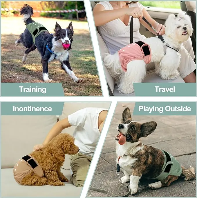 Reusable Diapers for Dogs, Female Dog Diapers, Heat Panties, Adjustable Snaps, Highly Absorbent, No Leak, Female in Period