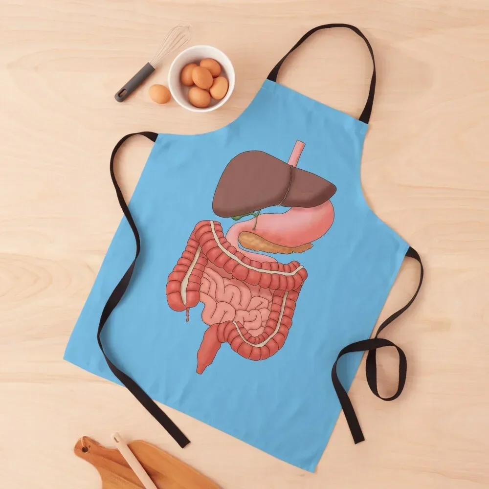 

Digestive System Organs, Medical Illustration Apron Cooking Clothes kitchen utensil Apron