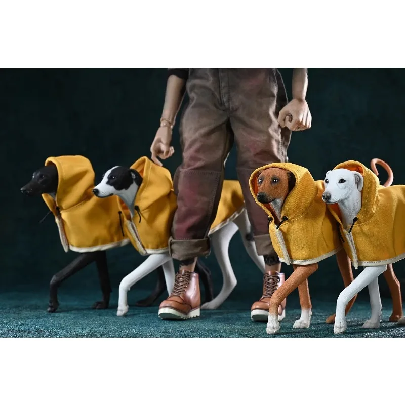 JXK – accessoires de scène à l'échelle 1/6, cape de chien maigre, modèle de Simulation en résine pour figurines d'action, ornement Animal