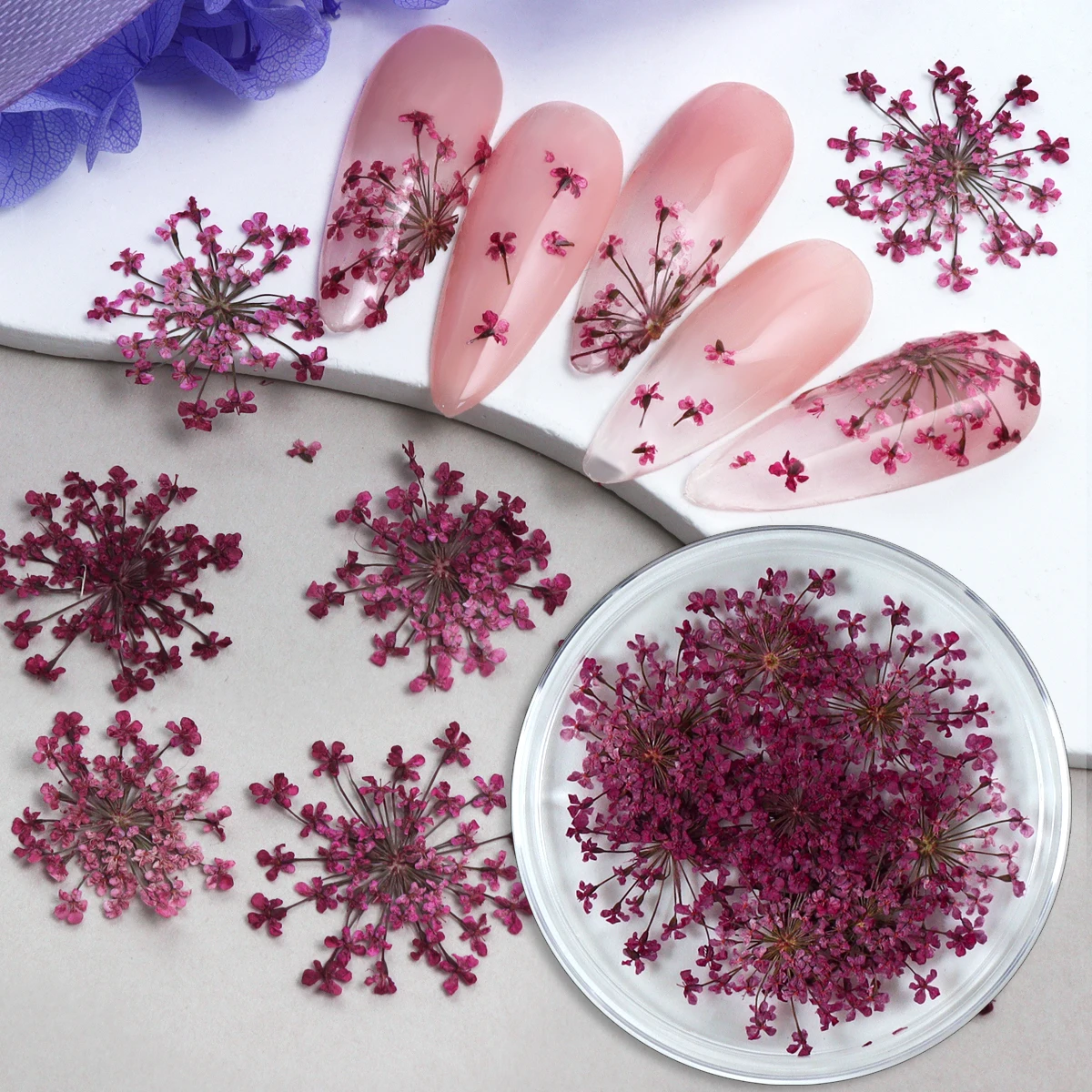 

10PCS 3D Dried Flower Nail Stickers, Delicate Dried Floral Nail Art Beauty for DIY Manicure, Nail Design Accessories