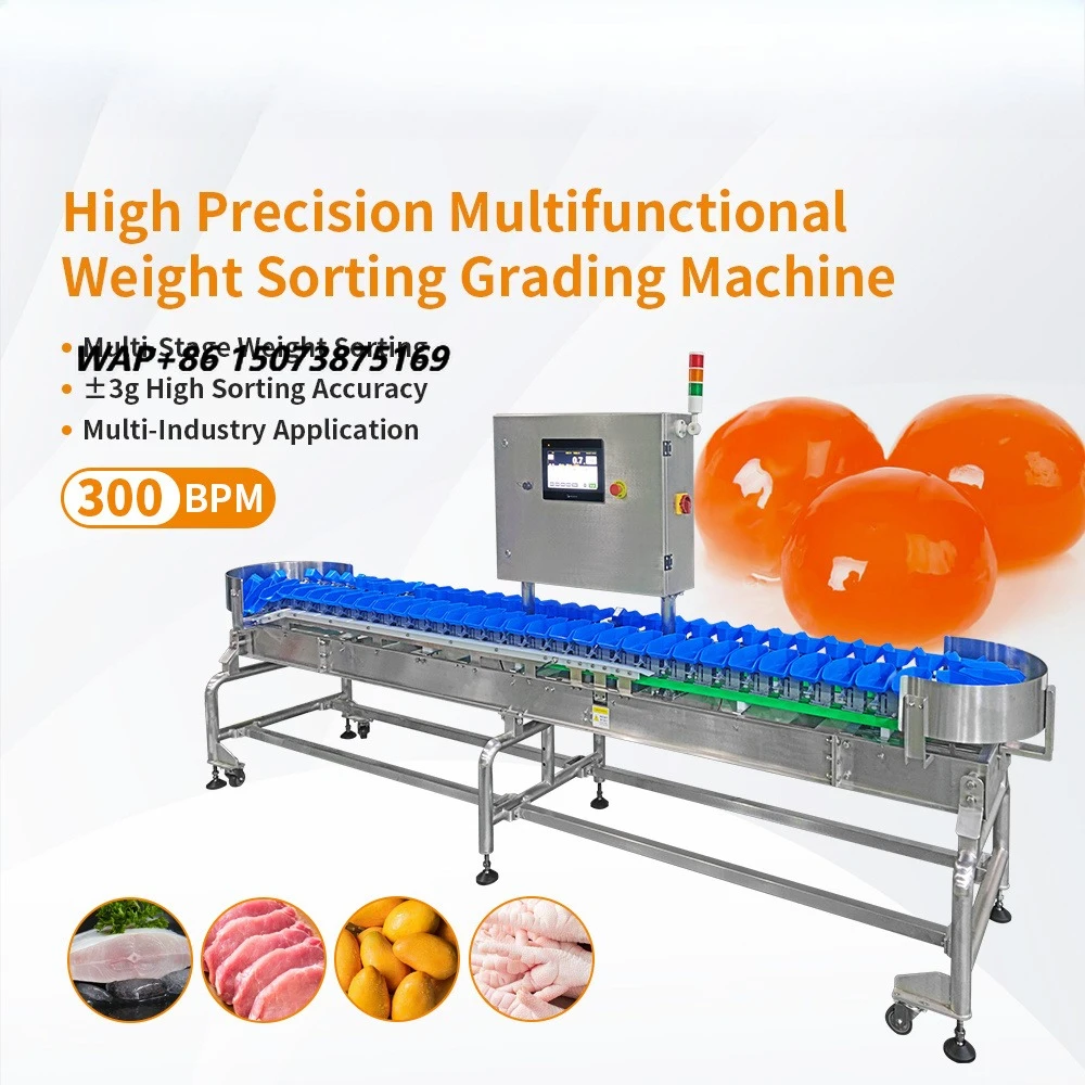 High Precision Multifunctional Weight Sorting Grading Machine for Vegetables Fruits Chicken Feet Wings 304 Stainless Steel