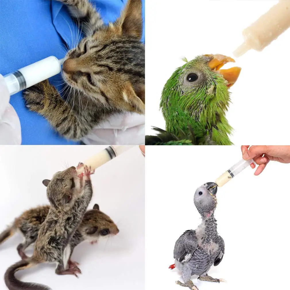 25Pcs 60ml 루어 잠금 주사기 바늘 없음 주입 도구 멸균 개별 포장은 동물 먹이, 접착제 분배에 적용됩니다.