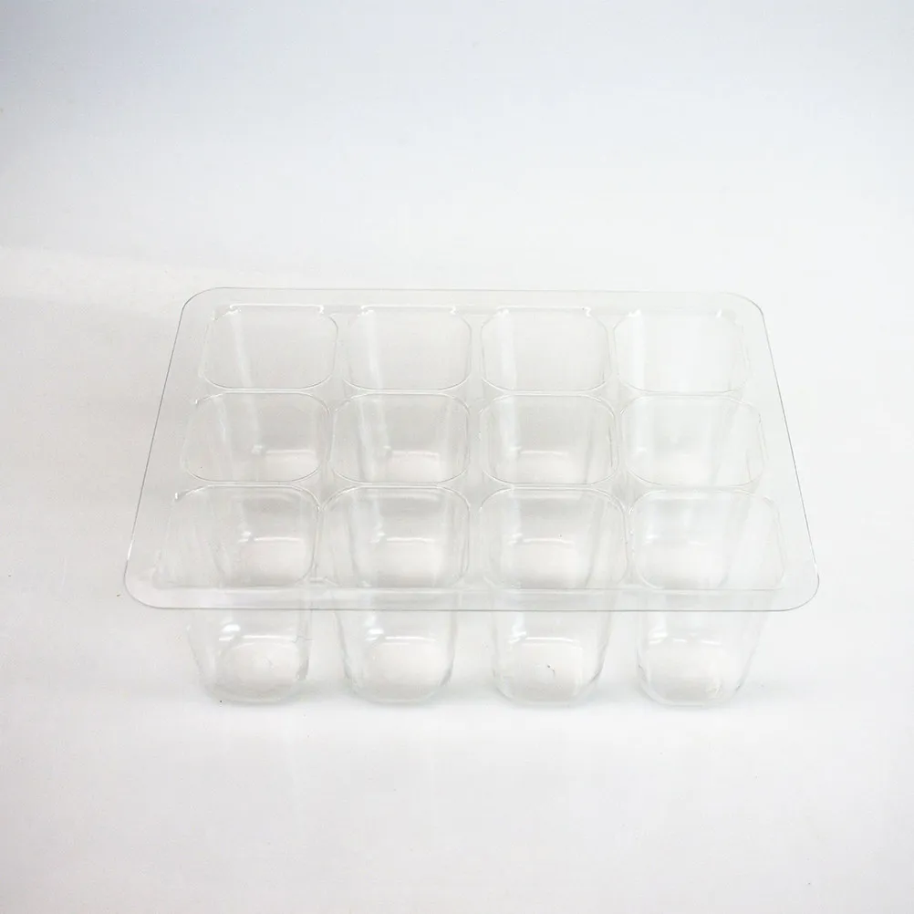 Seedling Germination Tray Set 8 Pack 12 Cell Plastic Propagation Boxes Clear Lids Green Bases for Home