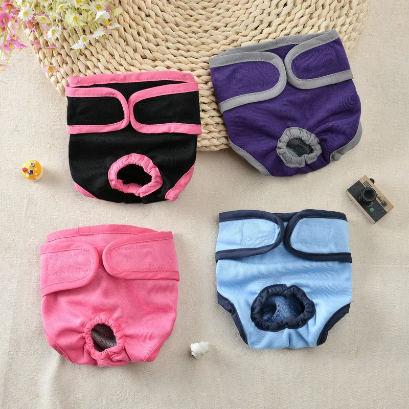 New Pet Dog Panties Small Medium and Large Dog Teddy Walking Dog Anti-harassment Physiological Trousers