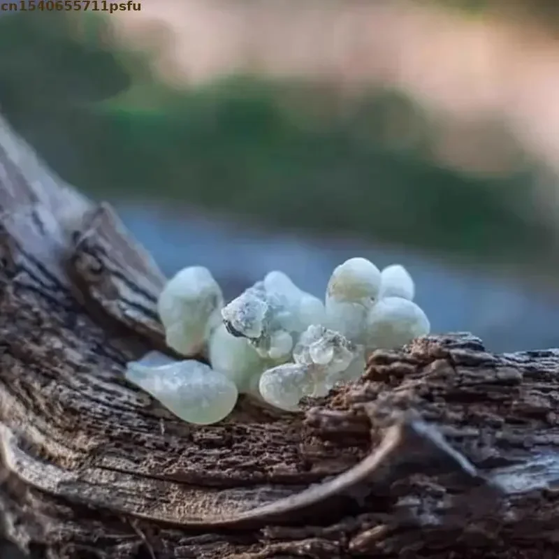 50 г высококачественных органических благовоний Hojari Green Frankincense, натуральные горящие благовония Омана для домашнего аромата и ароматерапии