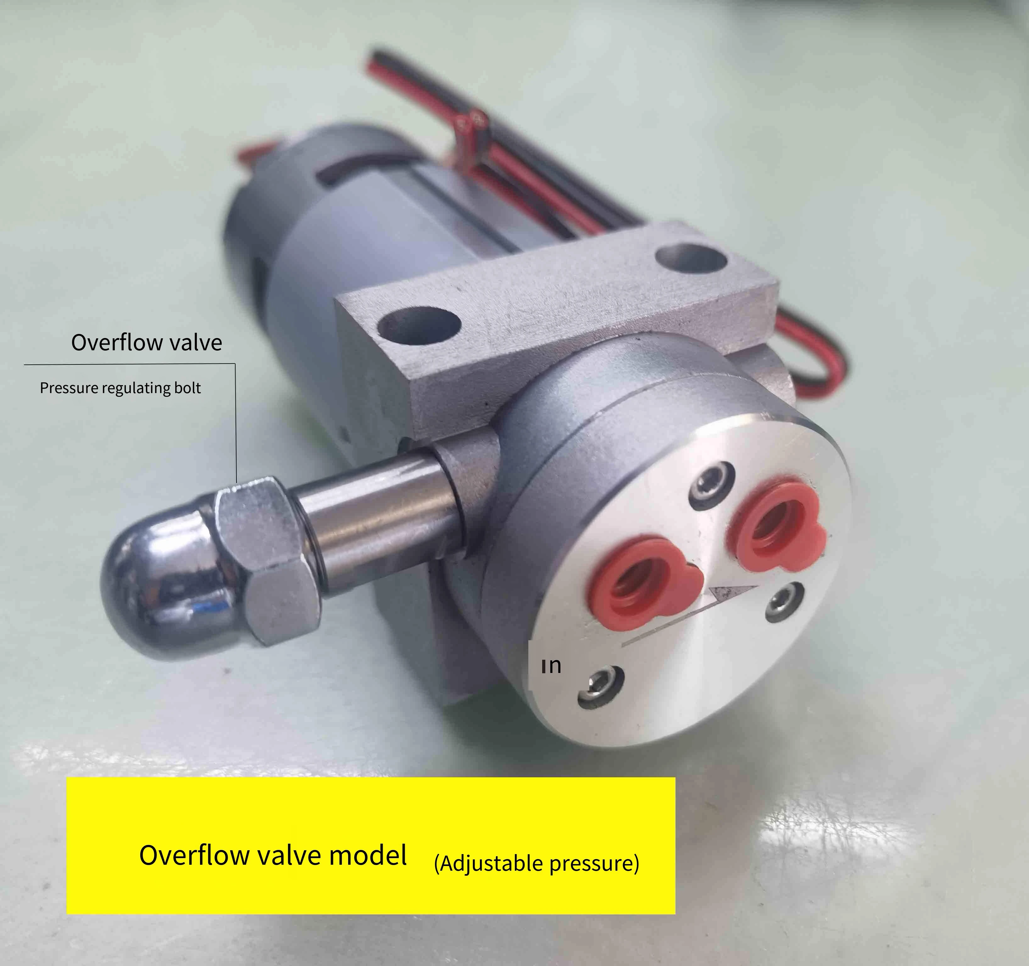 30W DC 12V/24V Gear Pump with Overflow Valve Engine Oil Pump Micro Self-suction Gear Liquid Transfer Pump