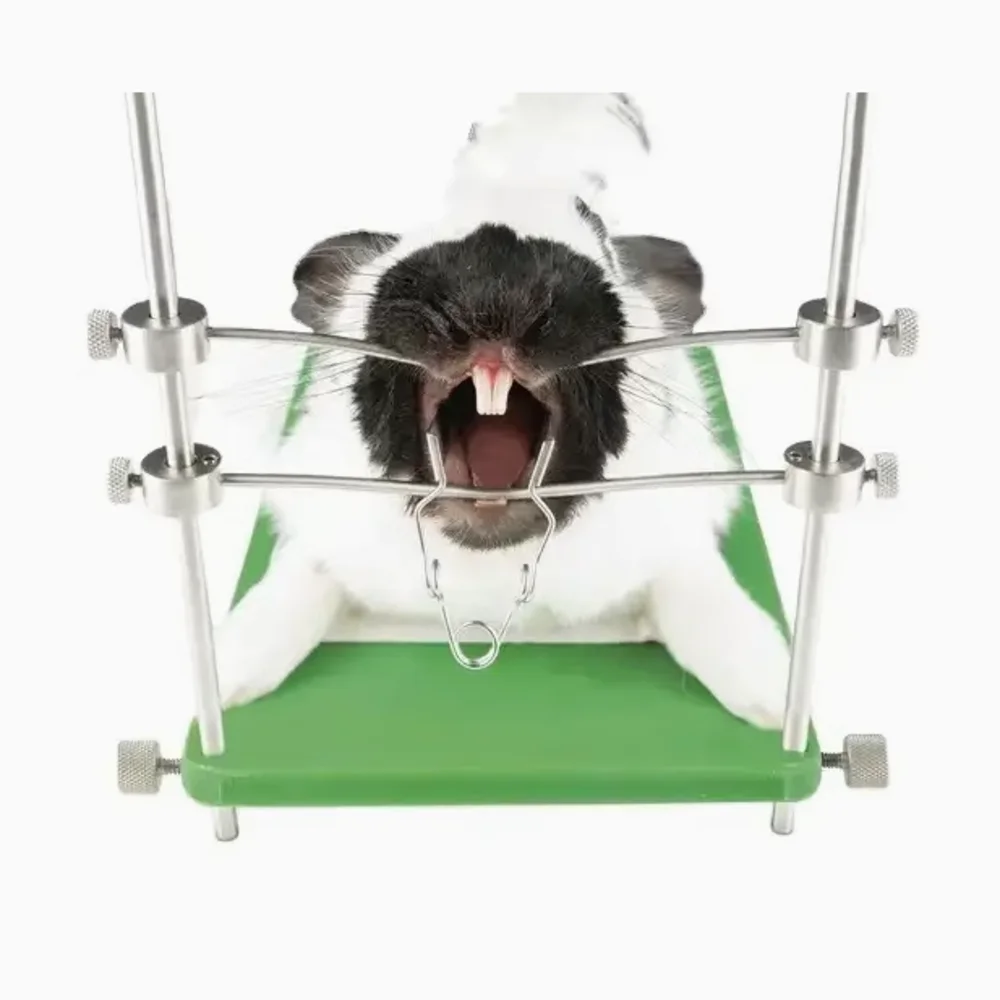 Rabbit Cat Mouse Rodent Pet Mouth Opener Adjustment Table Tooth Extraction Table Vet Dentist Vet Clinic