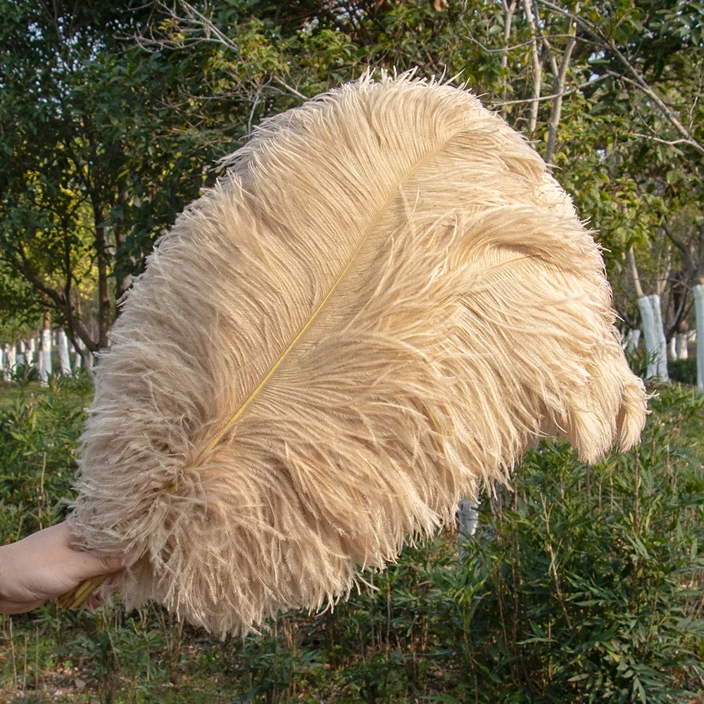 נוצות יען טבעיות לחדרנית