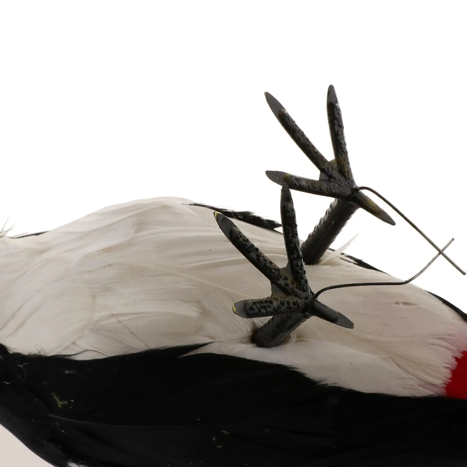 Simulation Woodpecker Feather Bird Figurine Animal Model Garden Decor for Backyard Lawn Photography Props