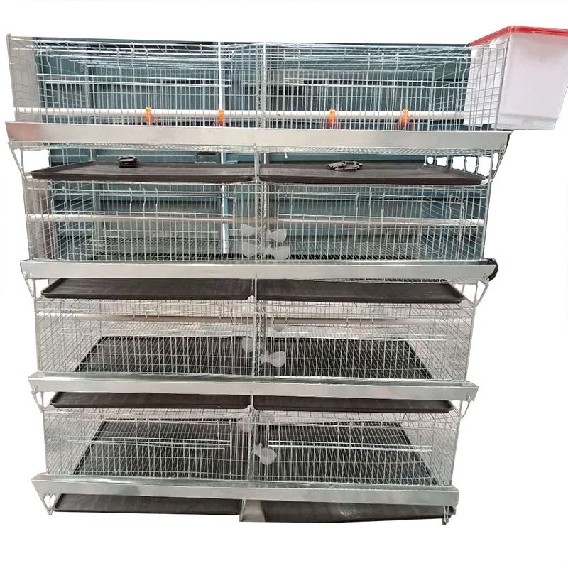 

H Type Layer Chicken Cage Steel Stepped Cages For Chicken Used