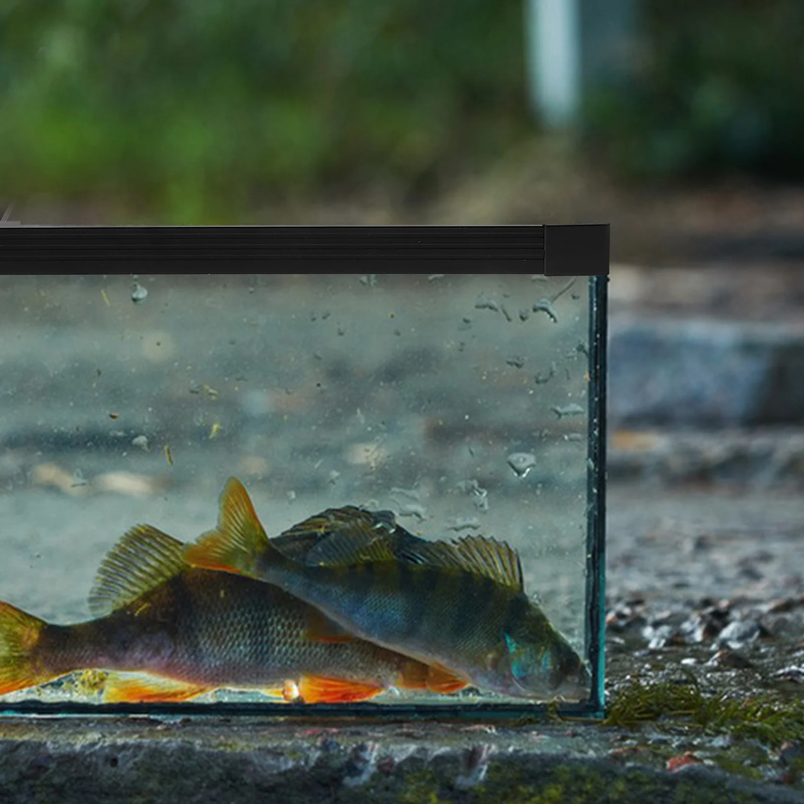 

1Set Fish Tank Edge Guard Double Layer Slide Strip Aquarium Top Edge Protector Flexible Protective Cushion Glass Seal