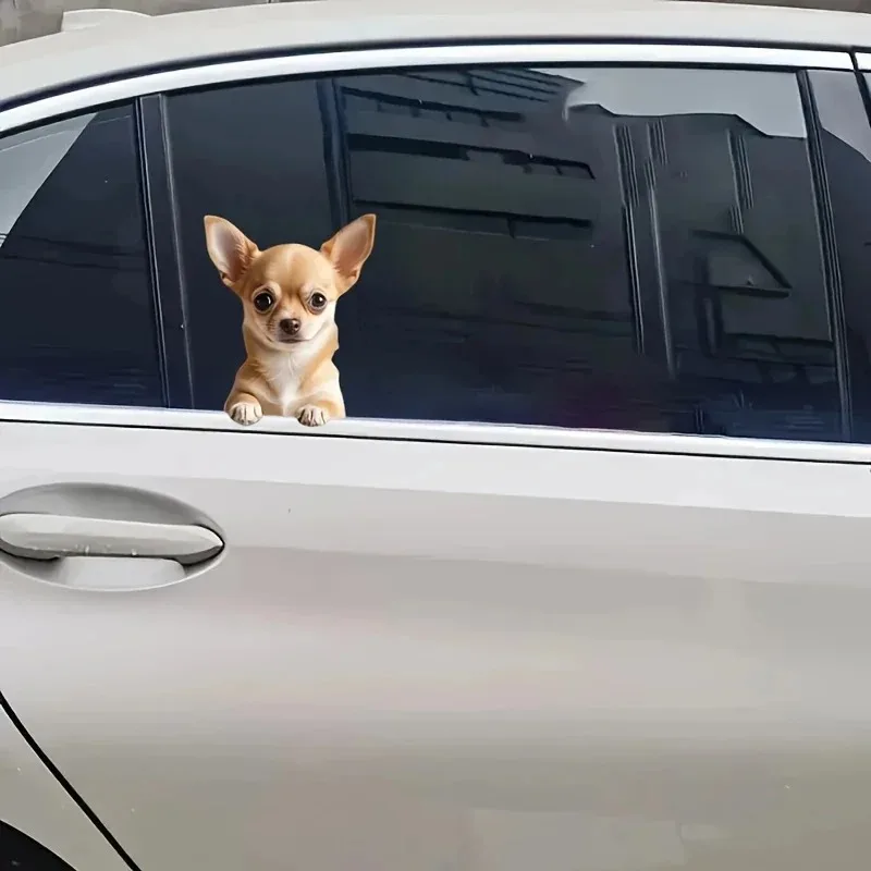 

Personalized Custom 15cm Waterproof 3D Chihuahua Funny Decal For Cars Trucks Motorcycles Walls