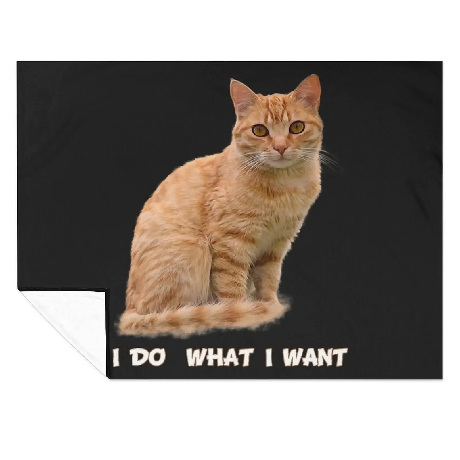 

I Do What I Want Funny Orange Tabby Cat Lovers Gifts Throw Blanket Plush Beautifuls Comforter Retros Blankets