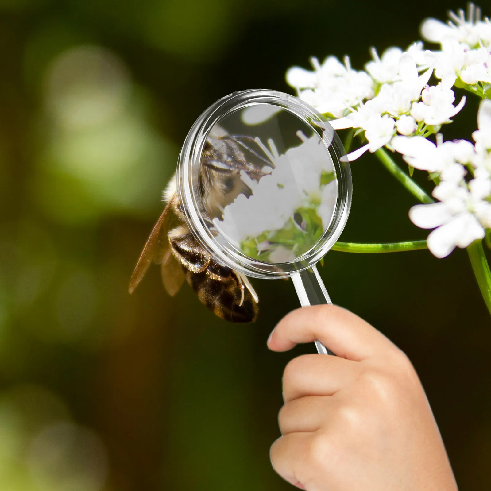 Loupes portables pour enfants, 20 pièces, loupes portables pour l'exploration, l'étude biologique en plein air, fournitures d'apprentissage scientifique