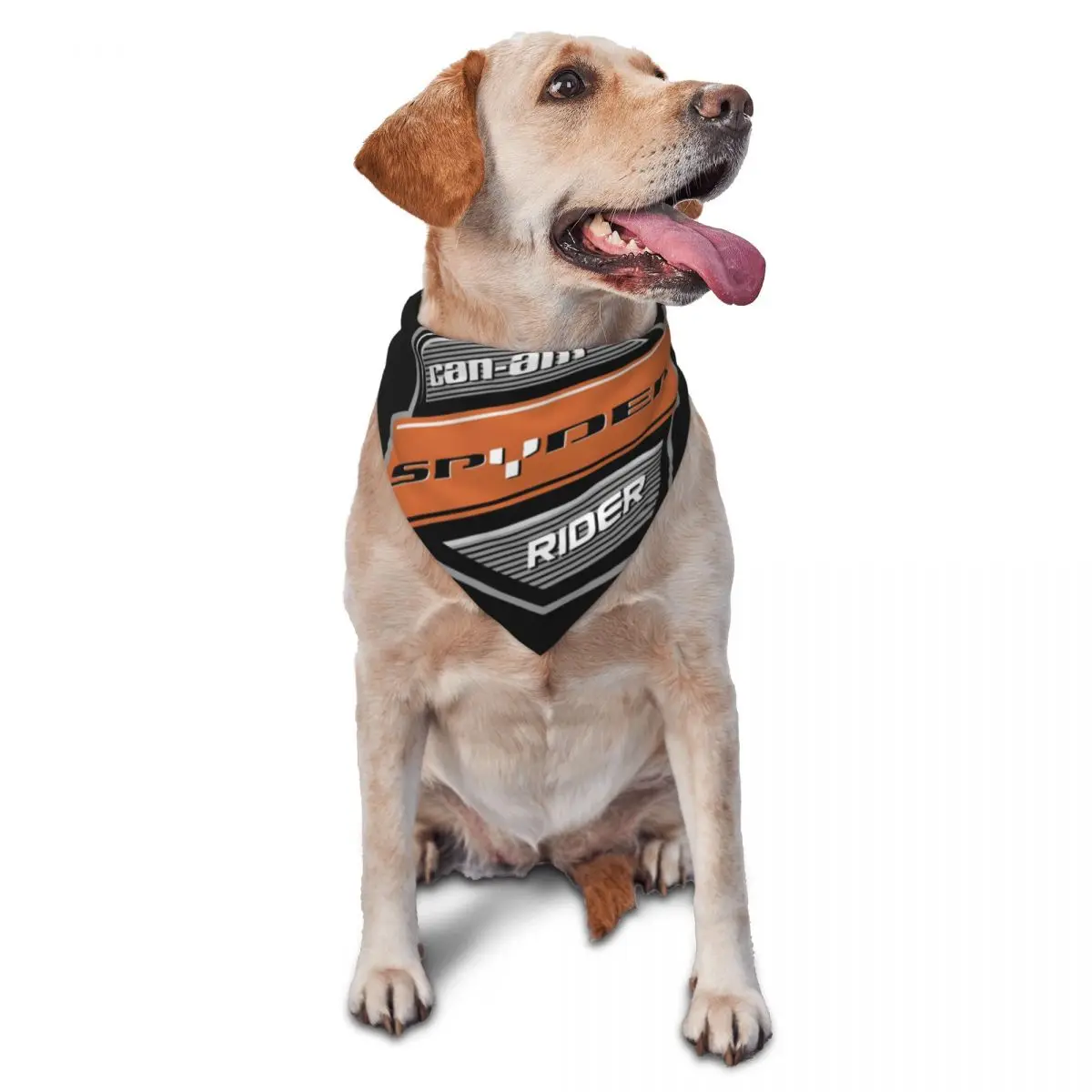 Funny Brp Can Am Lo… - image