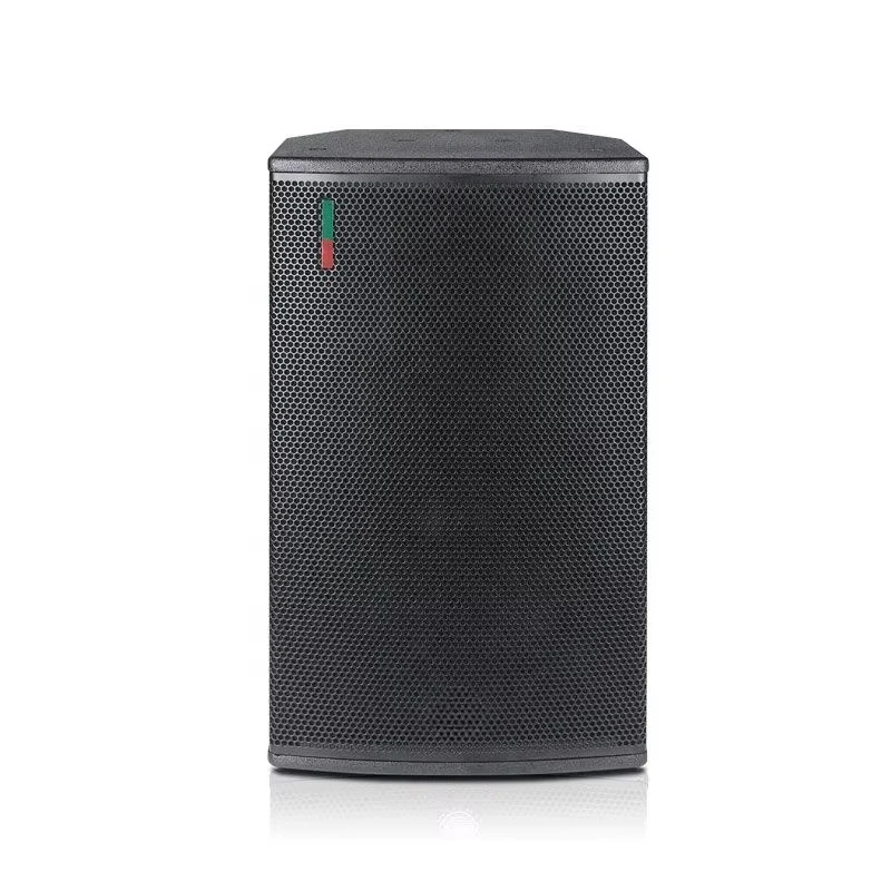 300W RMS 10 Inch Birch Passive Speaker 2.0 Channel Professional Outdoor Stage Bass Audio System