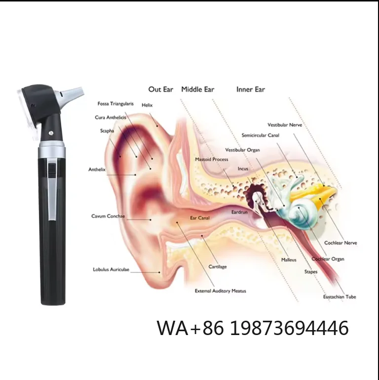 Portable Veterinary Otolaryngological  Ear Examination Scope for Pet Animal Ear Nose Throat Inspection Diagnosis