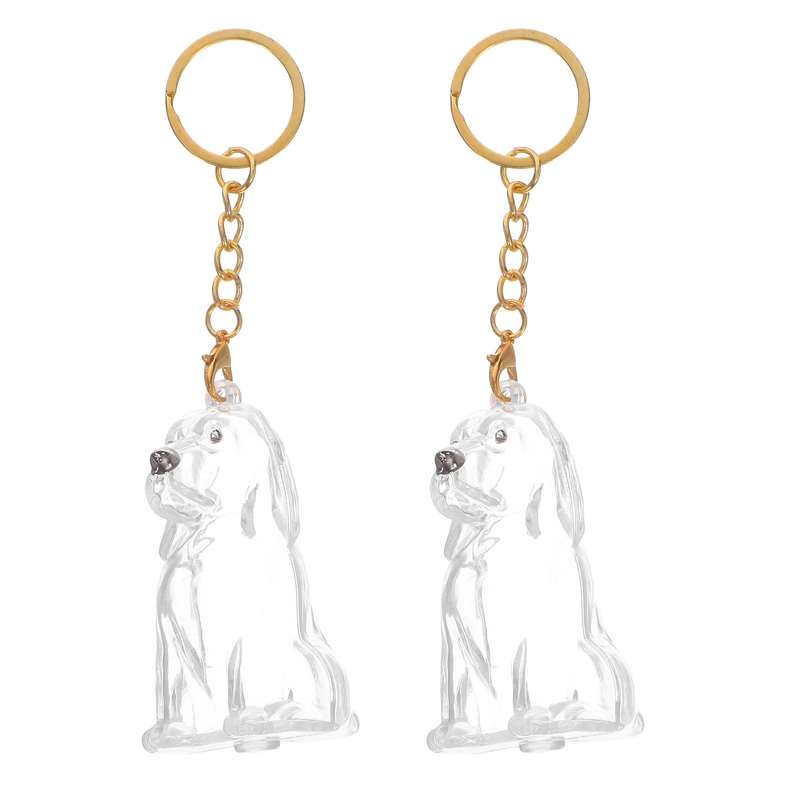 

2Pcs Pet Hair Keepsake Keychain Transparent Storage Box Dog Hair Memorial Organizer Portable Charm Souvenir Holder