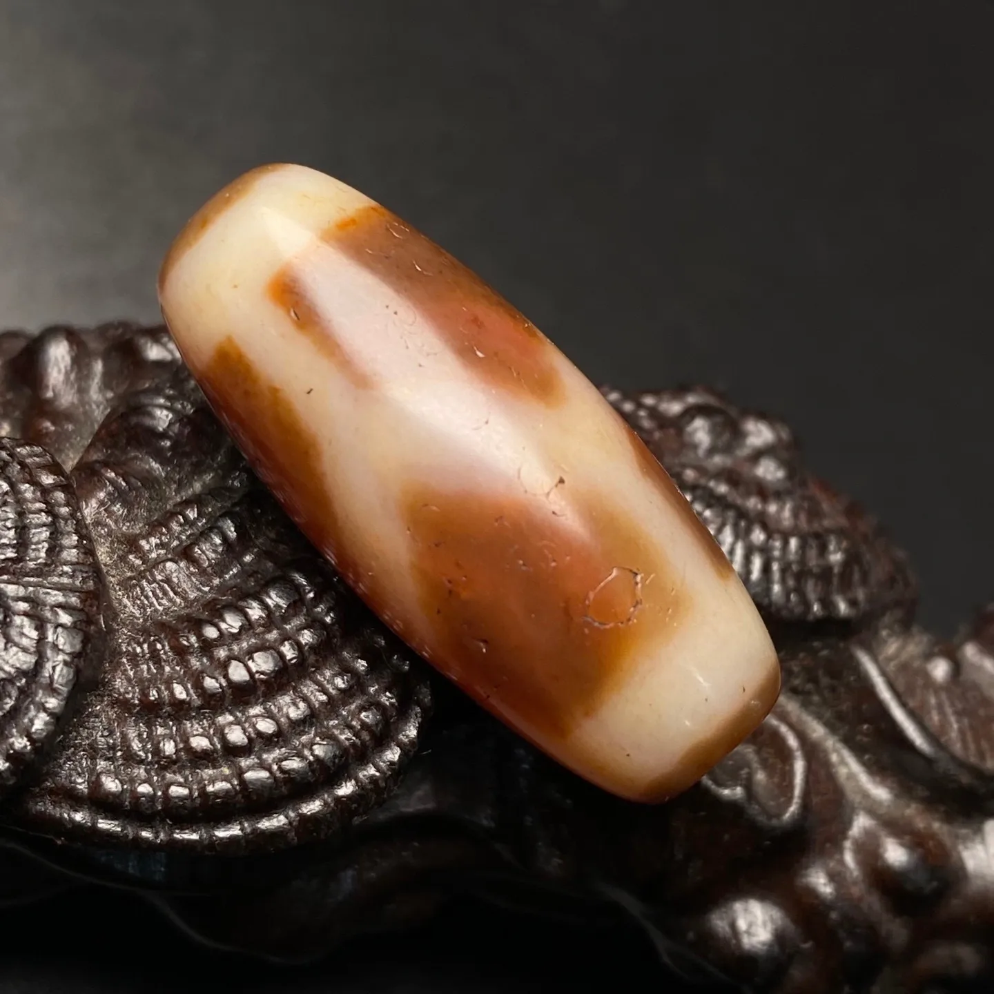 Rare Tibetan Buddhism Agate Turtle Back Dzi Bead Amulet Necklace Pendant G4810