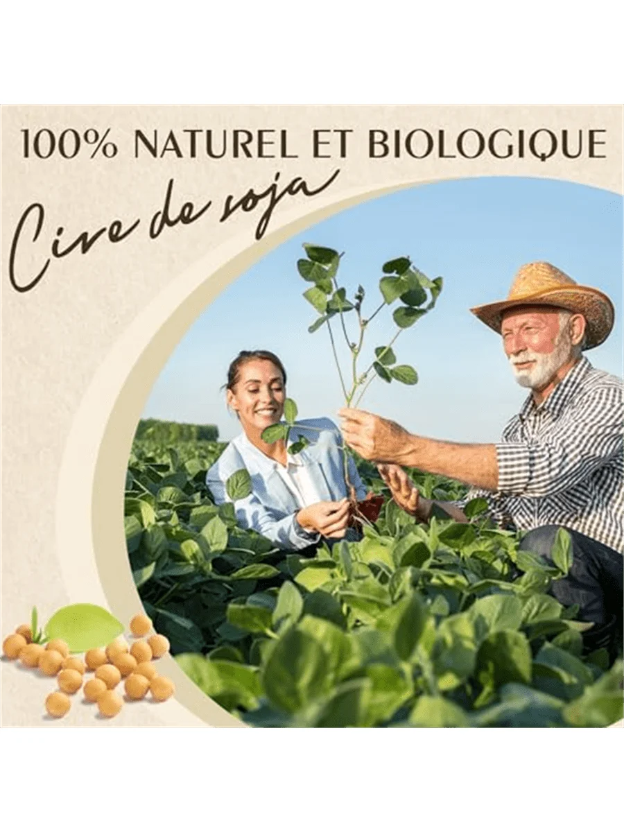 50g-1000g 100% Natürliches Sojawachs-Paraffin-Material Vorgefertigte Sojawachs-Kerne Natürliche Sojawachs-Blöcke für Selbstgemachte Kerzen Hohe Qualität – Detail 1