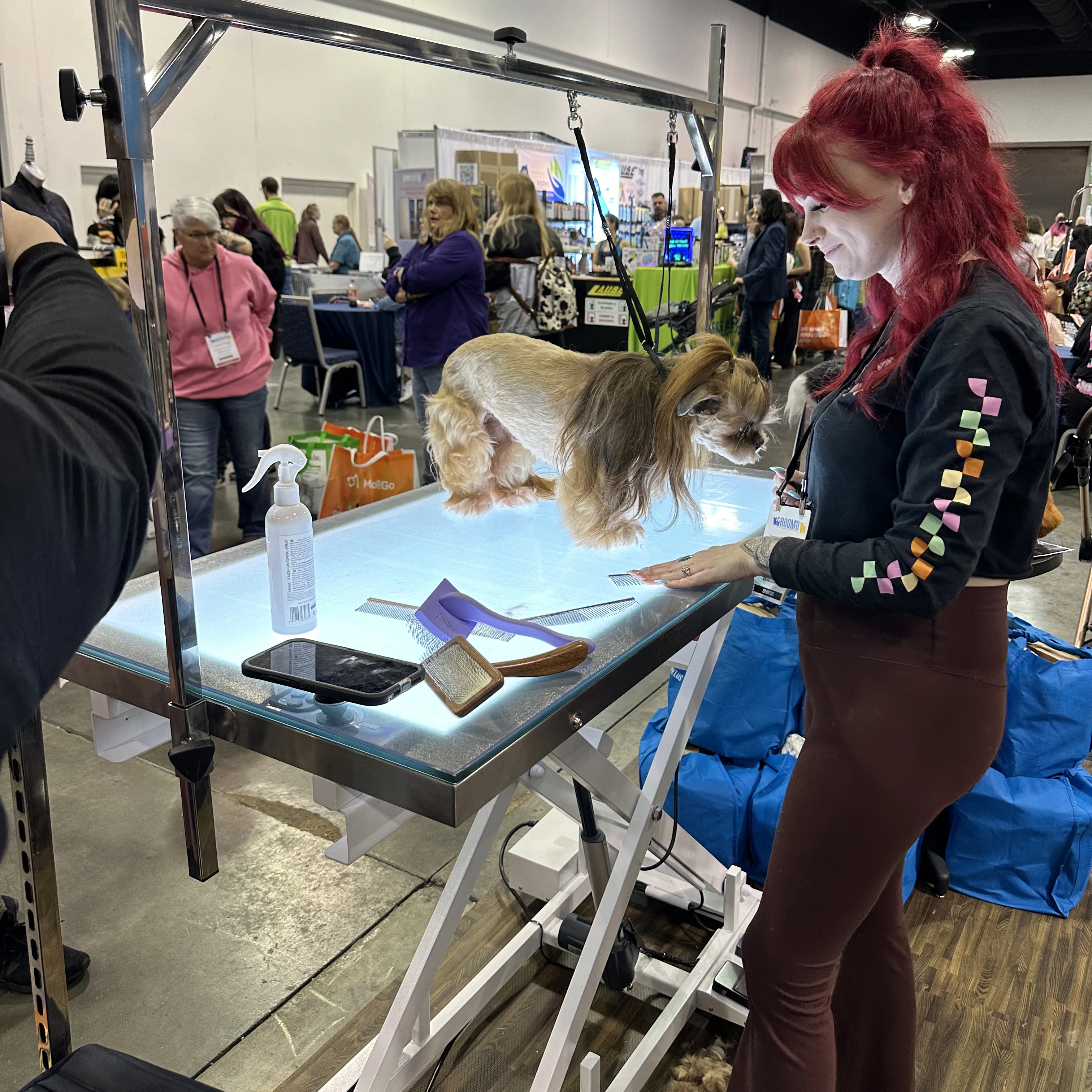 

Pet Salon Show Table Electric Lifting Pet Grooming Table with LED Light Charge-Powered Hairdressing Table