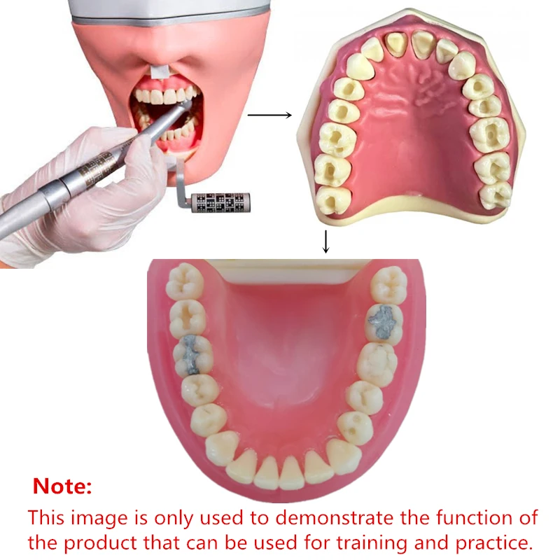 28pcs denti in resina dentale Typodont modello di ricambio per denti modello di insegnamento simulazione denti materiali per odontoiatria per l'esame del dentista