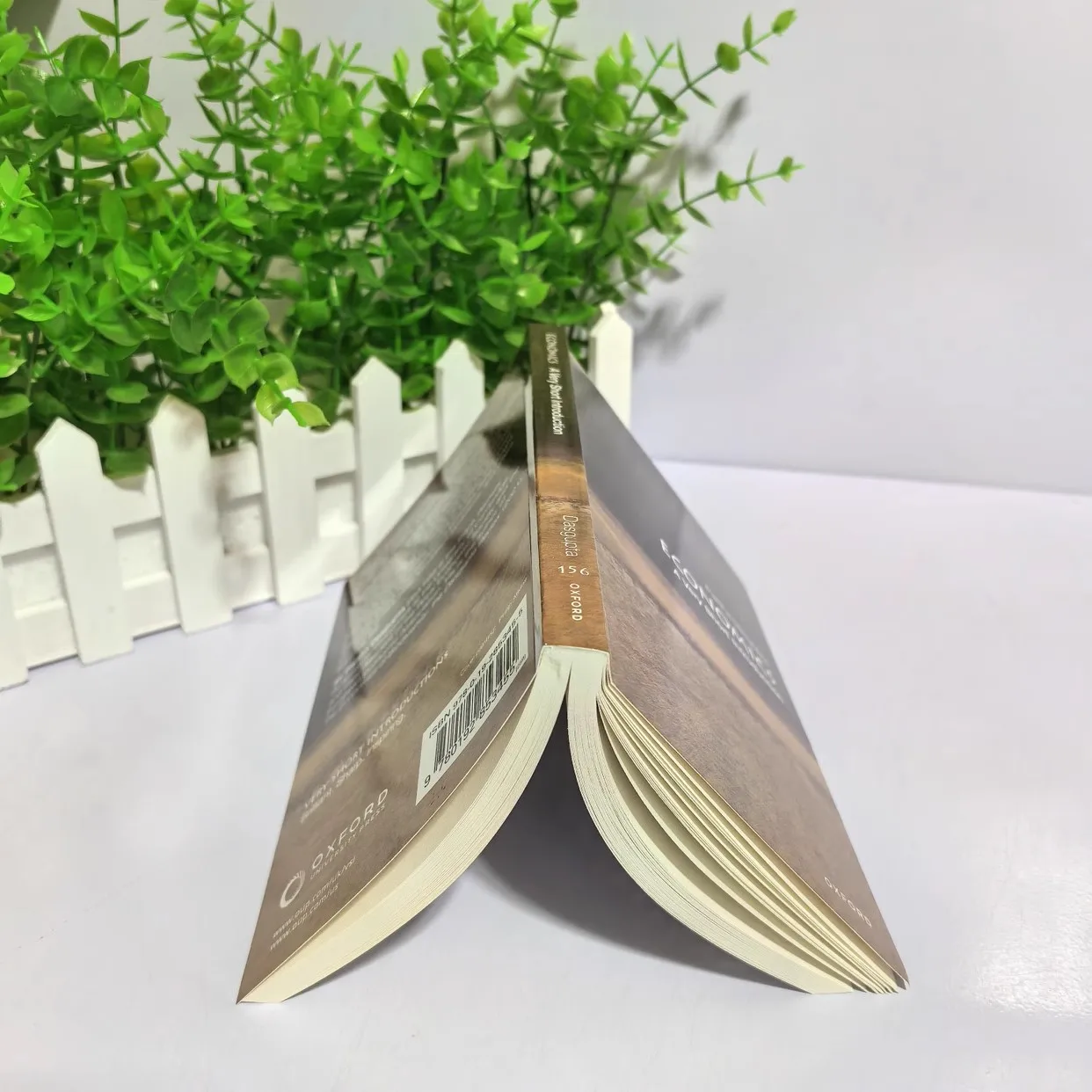 Economics A Very Short Introduction By Partha Dasgupta Paperback Book in English