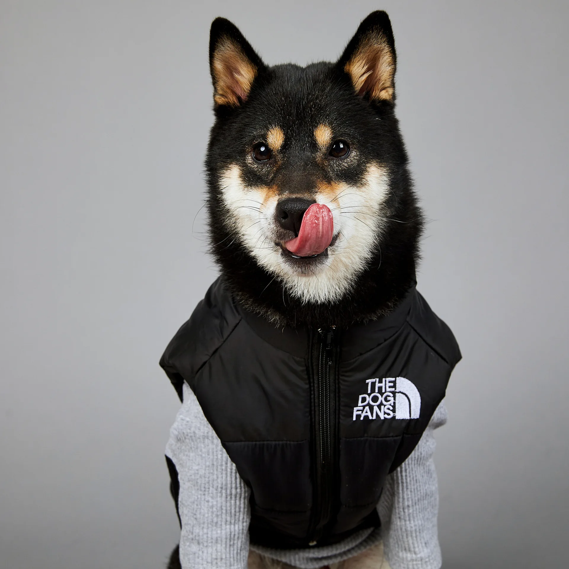 Imagem -03 - Roupa Confortável do Cão do Poliéster da Cara do Cão do Algodão Custume Vestuário Ajustável para o Filhote de Cachorro Bonito dos Cães Acessórios do Animal de Estimação Fornecedor a