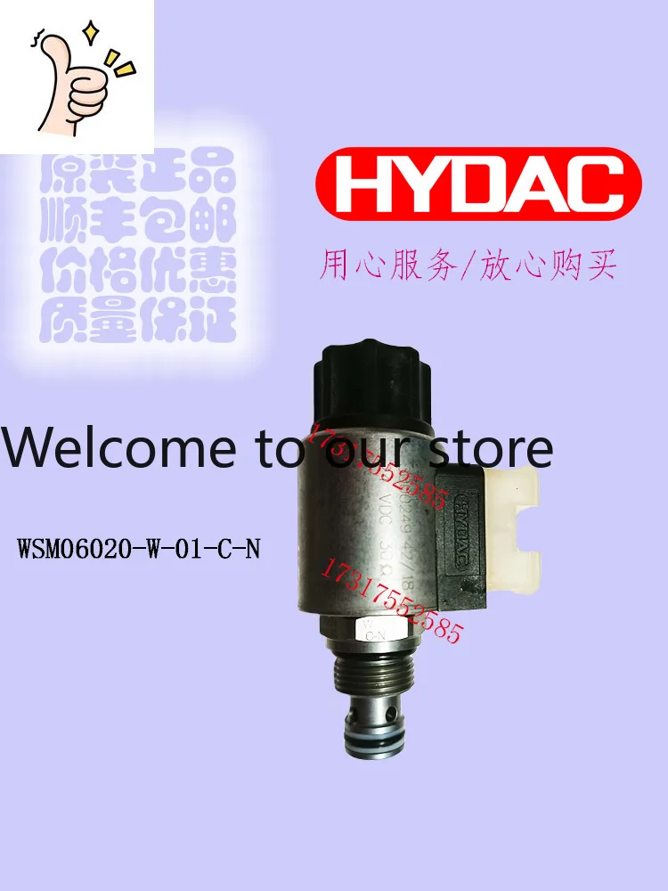Original Imported HYDAC HYDAC Cartridge Valve WSM06020-W-01-C-N/M-24DG Spot Supply